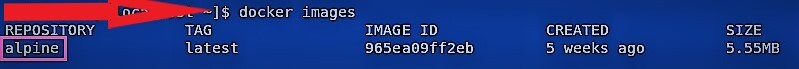 alpine-added-repository-docker-centos-8 img