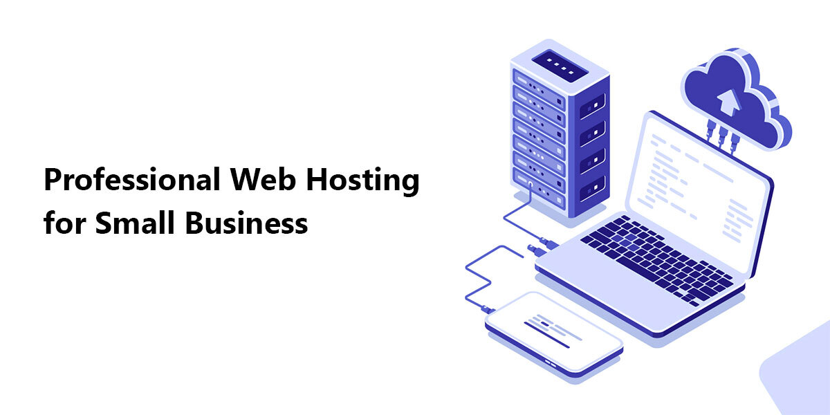 Professional Web Hosting for Small Business 2022