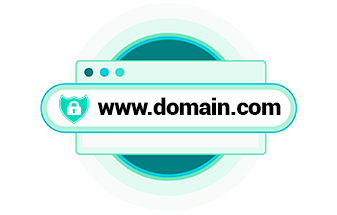 What is Domain Privacy Protection?