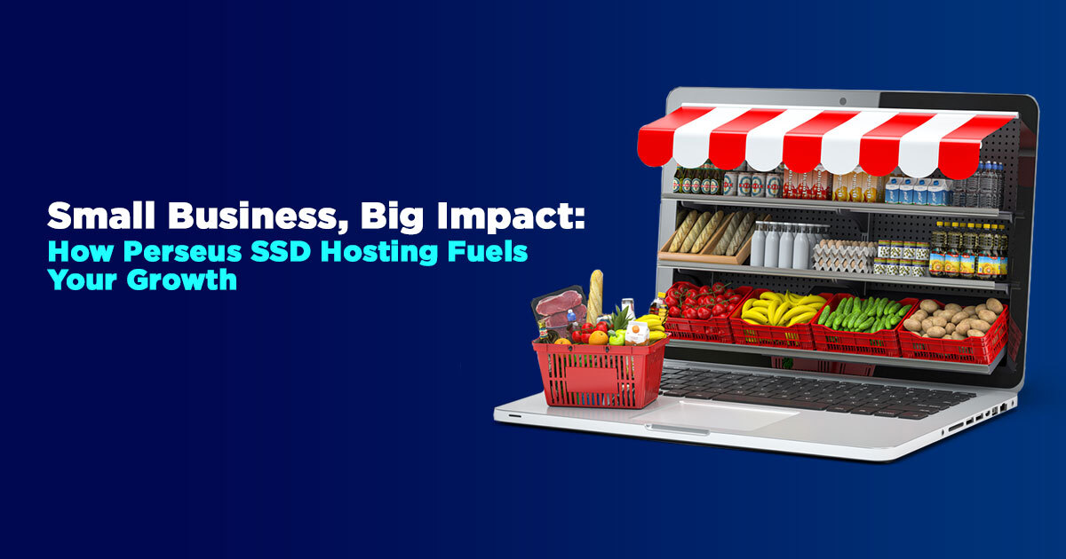 Small Business, Big Impact How Perseus SSD Hosting Fuels Your Growth