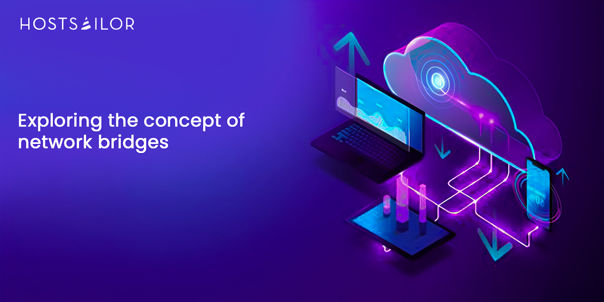 Exploring the Concept of Network Bridges
